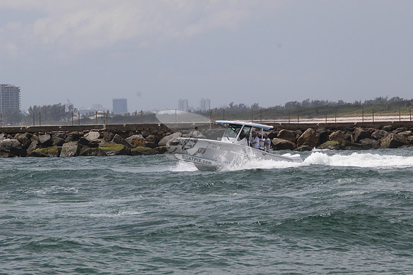 BLACKFIN.01