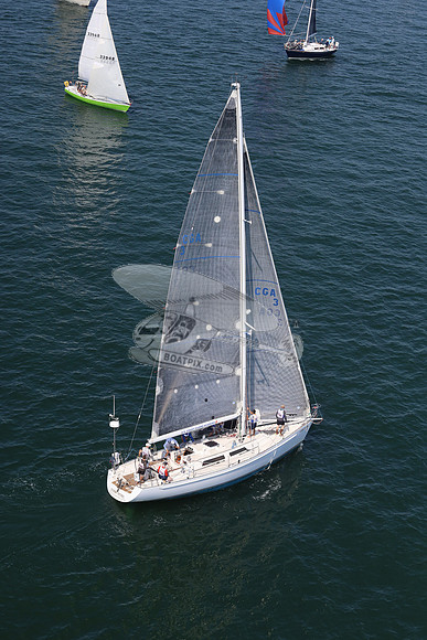 3.stormy petrel.1