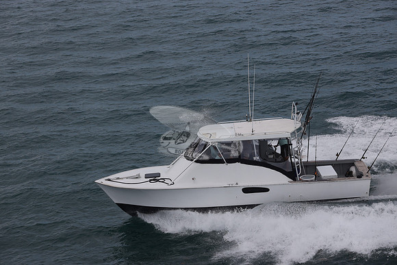 Fired Up Charter.25