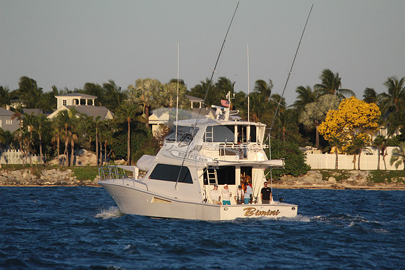 bimini.4529