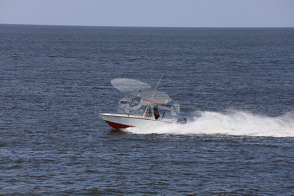 al0498vd.02