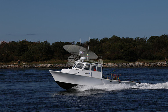 ms8866hy.11