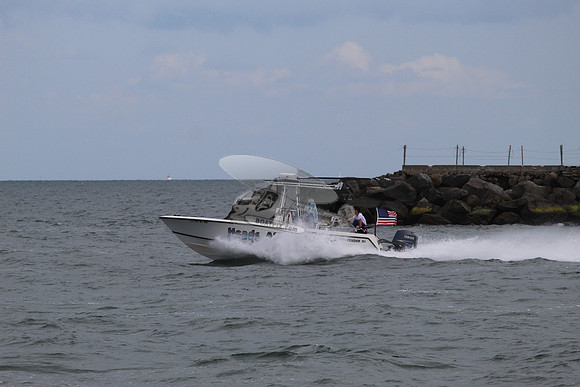FL3131MJ.HEADS ABOVE WATER.07