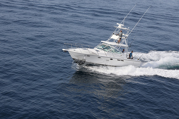 ANGLER MANAGEMENT.FTL.TIARA.20