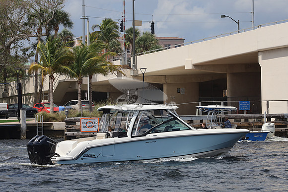 BOSTON WHALER32.BLUE.4
