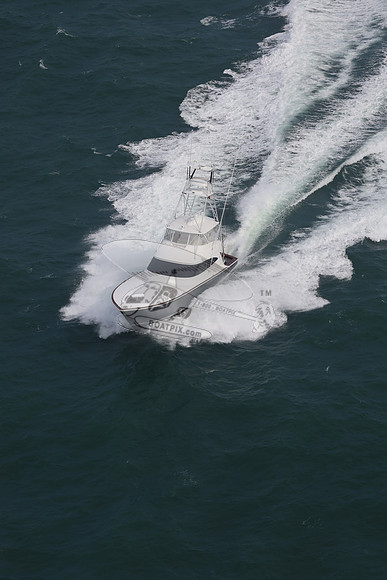 Amigo.7912