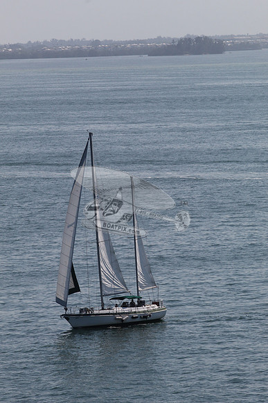 64.smaland.anna maria fl.9554