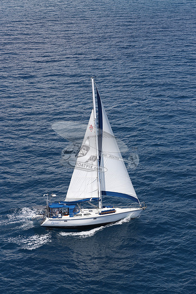 CAROLINE.C42.20