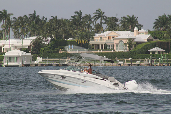 CROWNLINE.GRAY TOP.12