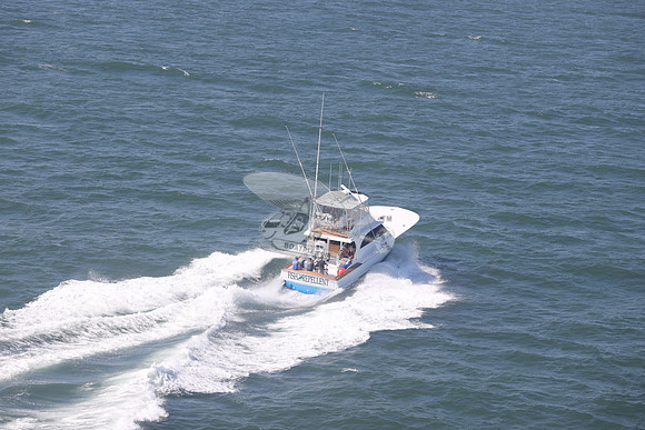 fish repellent.ocean city md.9349