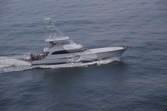 BEAST.PALM BEACH FL.033