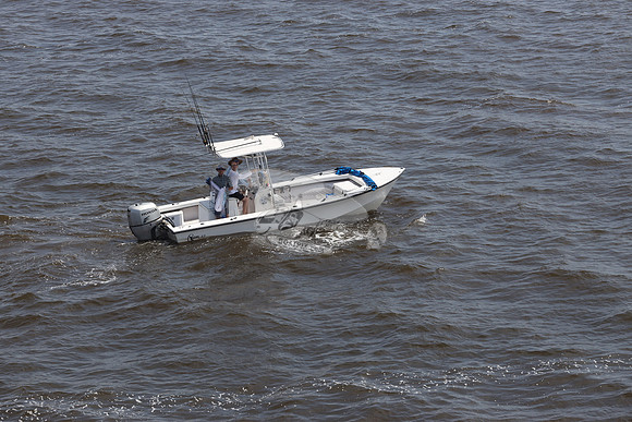 c hawk 23.honda.11