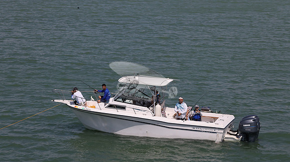 fl0646hj.1529