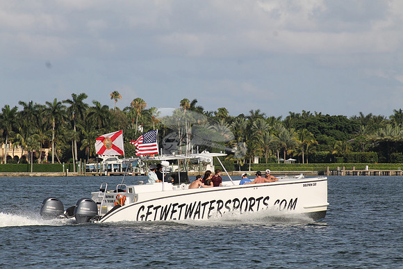 DOLPHIN CAT.SINGER ISLAND FL.08