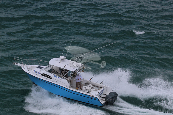 Buoy 737.81