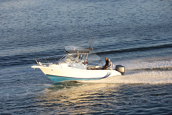 big boys toy.cobia.0634