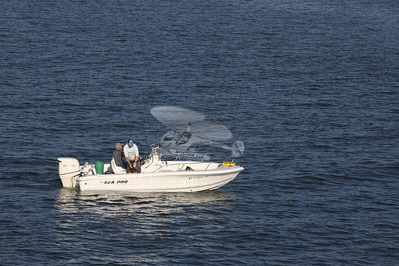 NC5733DL.354