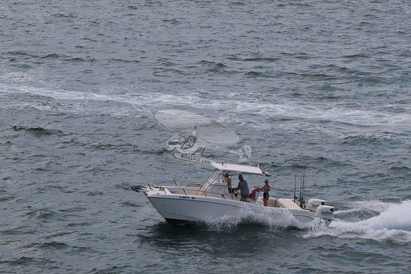 fl5008pk.1