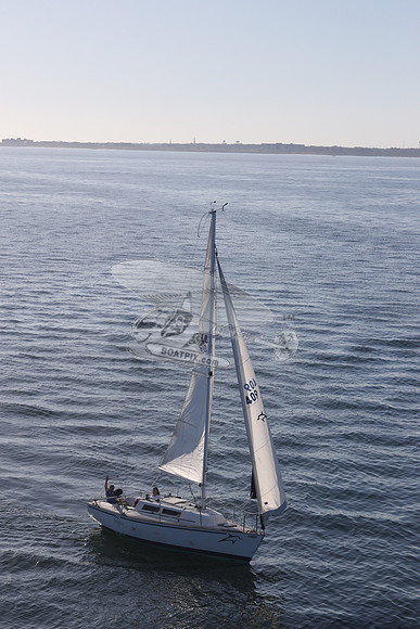 409.DELPHINA.FL6669GL.05