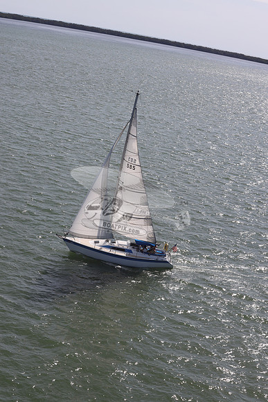 585.MS M..FL9900SM.13