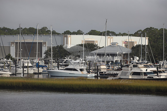 BLUE NIXIE.BALD HEAR ISLAND NC.4