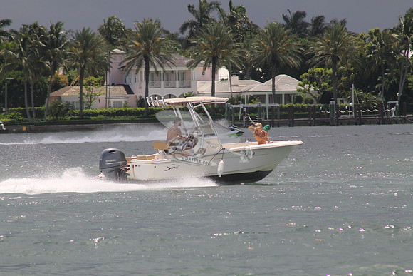 FL0786SX.10