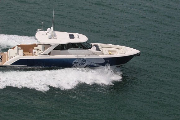 Blue Pearl.boca raton.8