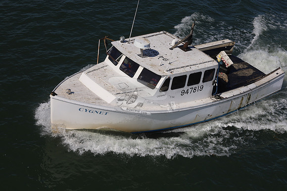947819.CYGNET.GREEN HARBOR MA.04