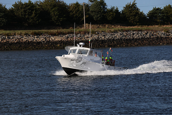 ms8866hy.02