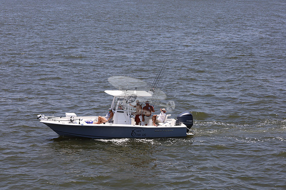 al0372mz.6