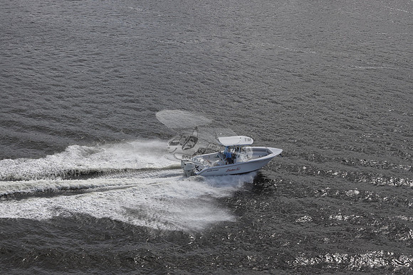 coankar too.sea pro.8