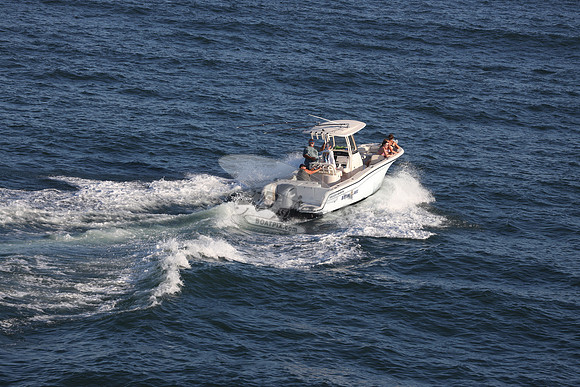 dl8276an.nittony lines.9466