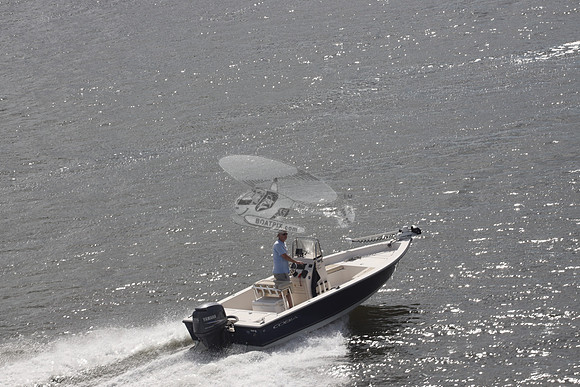 cobia.black.yamaha.05