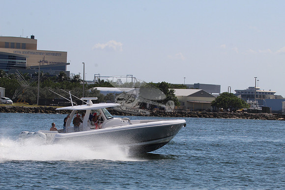 AVE.FTL.INTREPID.307
