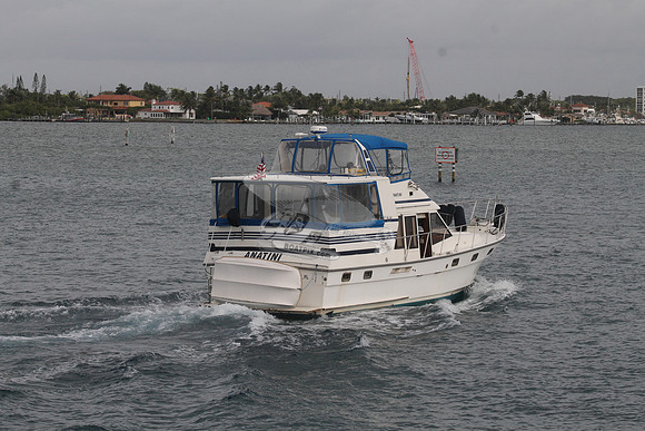 ANATINI.PORT ST LUCIE FL.10