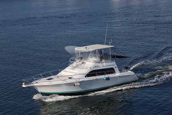 Columbo.port charlotte.1108