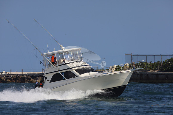 COURT SHIP.POMPANO FL.09
