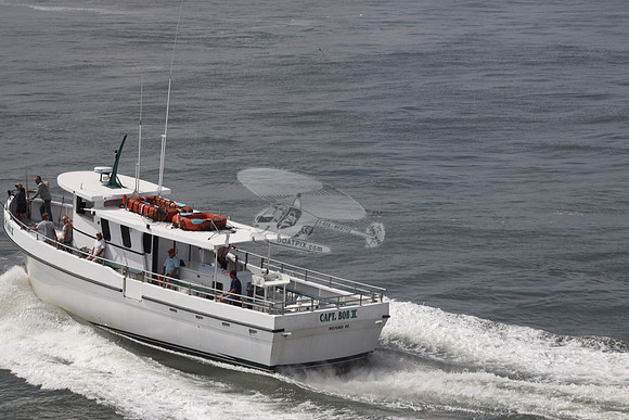 CAPT BOB II.MILFORD DE.07