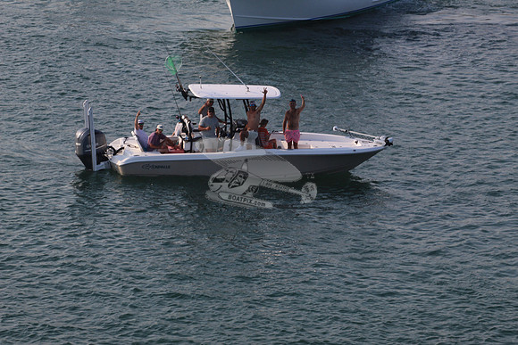 crevalle.2