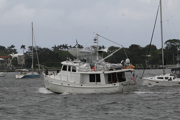 BAY PELICAN.FL7311.....08
