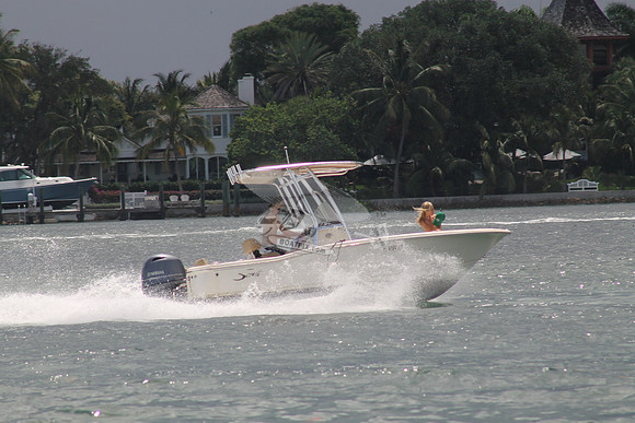 FL0786SX.07