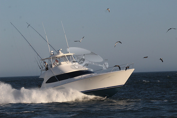 chain reaction.ocean city md.9944
