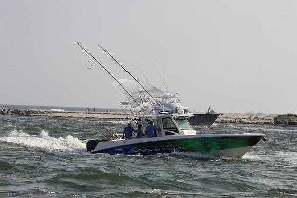 CHESAPEAKE WHALERTOWN.03