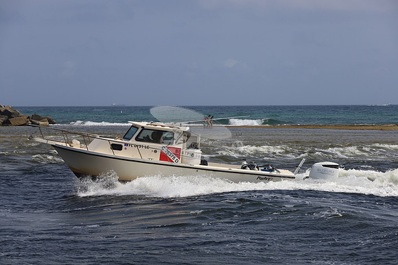 FL0151LC.03