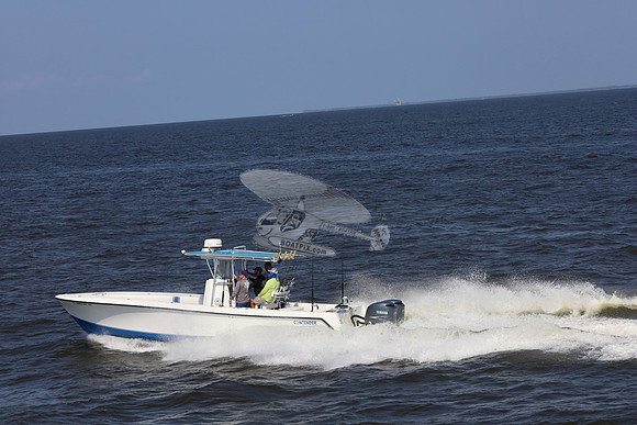 al0065rf.09