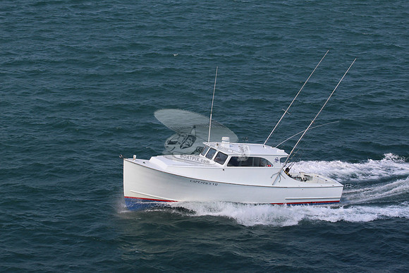 Capt Stacy VII.4