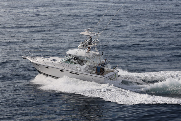 ANGLER MANAGEMENT.FTL.TIARA.12