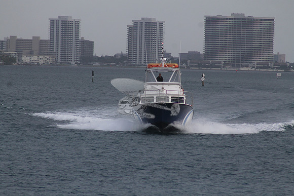 AURELIA.SINGER ISLAND FL.1