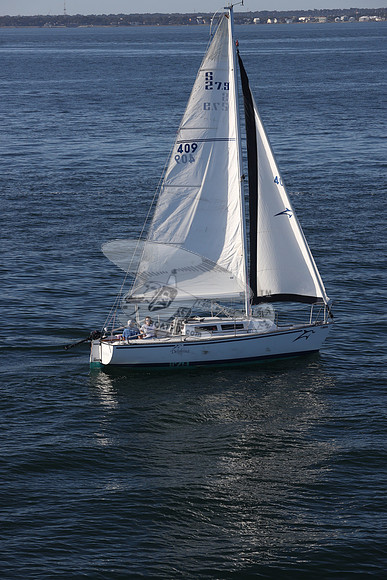 409.DELPHINA.FL6669GL.13