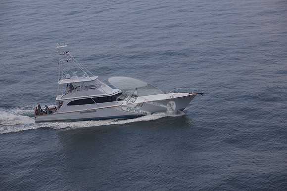 BEAST.PALM BEACH FL.031
